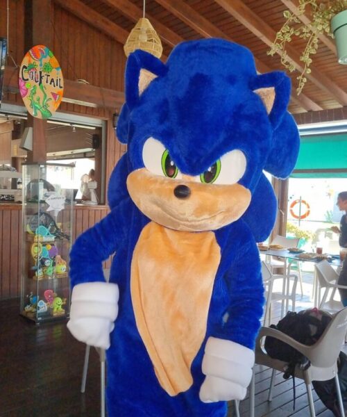 disfraz cabezon sonic